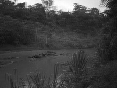 Ese´eja Performance,fragmentos románticos de la Amazonia XVI