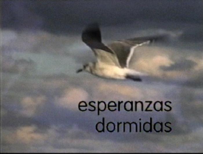 Poesía visual (Transparencia y Círculos)