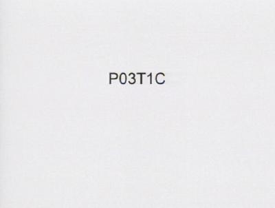 P03T1C 