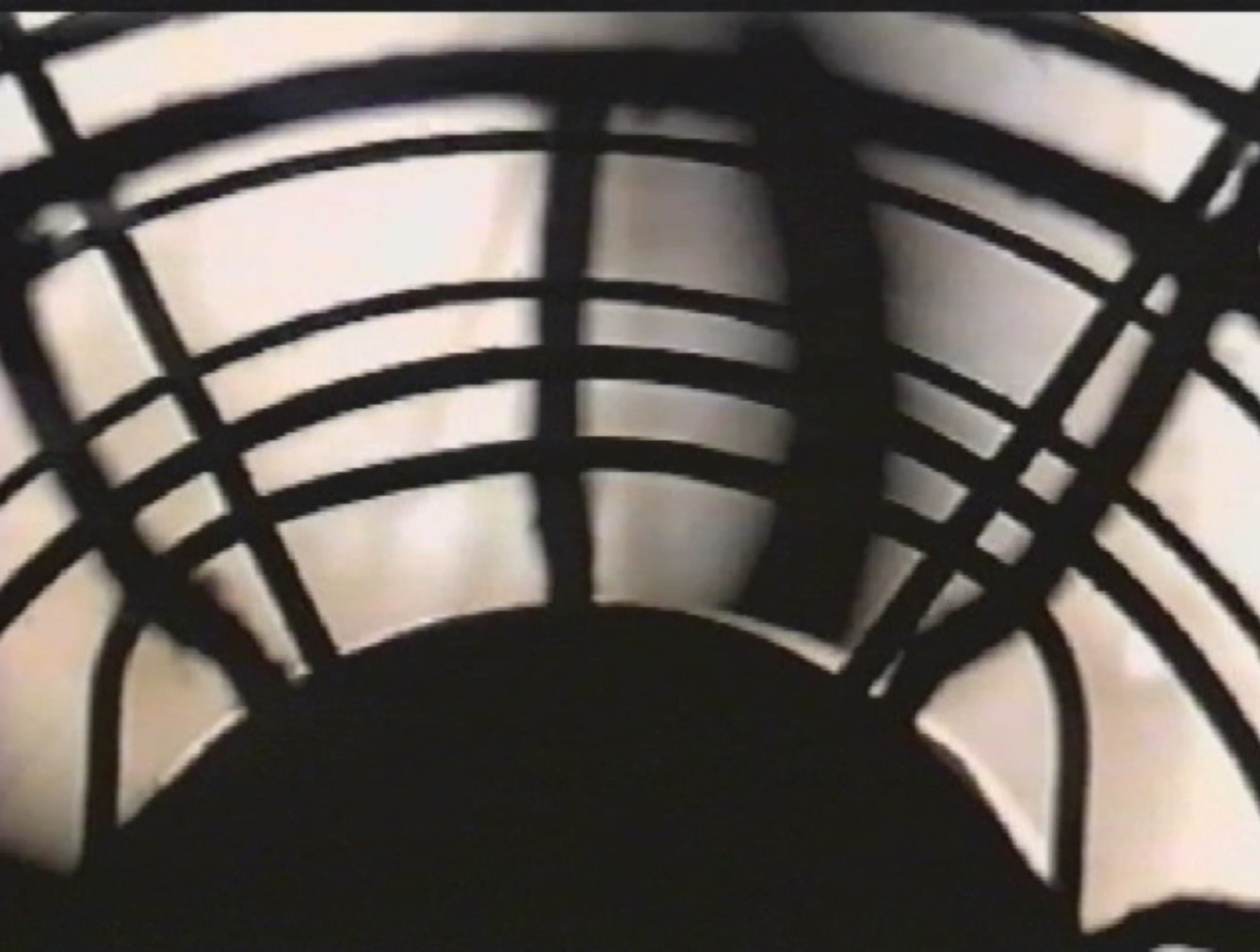 Imagen Aleatoria 3
