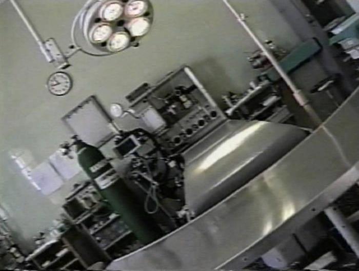 ¡Viva el Perú, carajo!