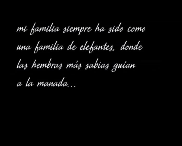 La mamá elefanta