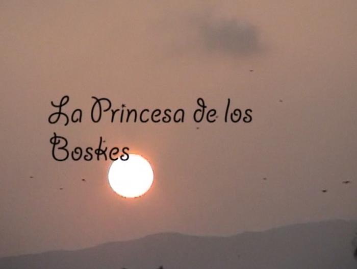 La Princesa de los Boskes
